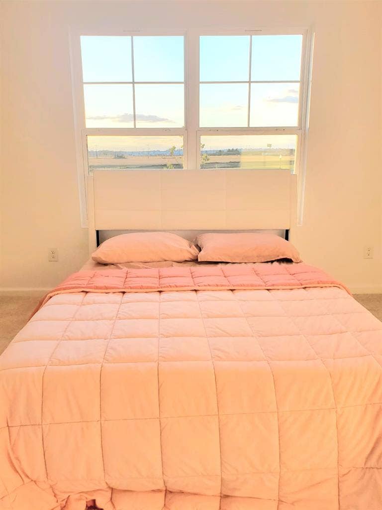 Roommate wanted