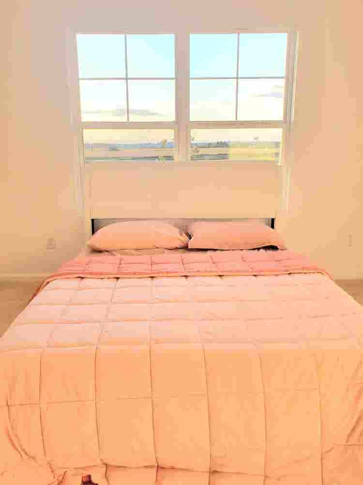Roommate wanted