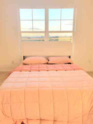 Roommate wanted