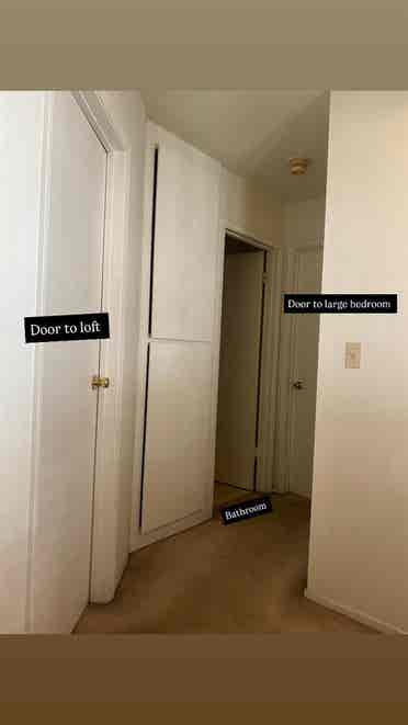 Sept 1 private loft for rent