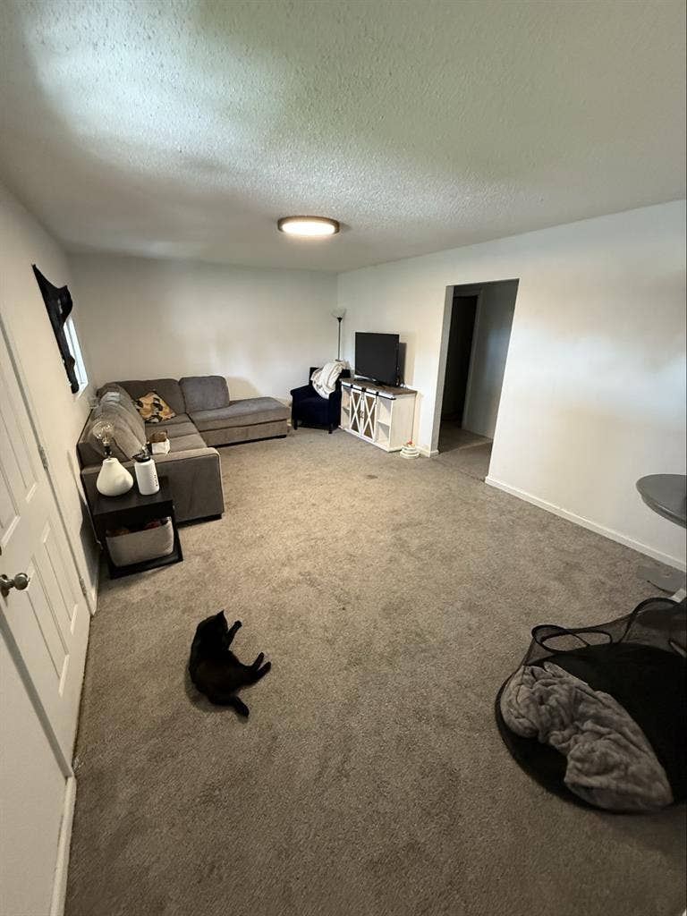 Need Roomates House Close to UNC