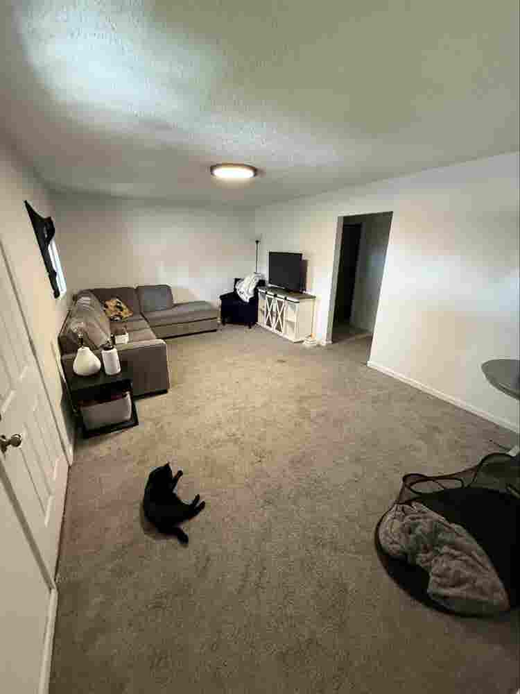 Need Roomates House Close to UNC