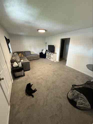 Need Roomates House Close to UNC
