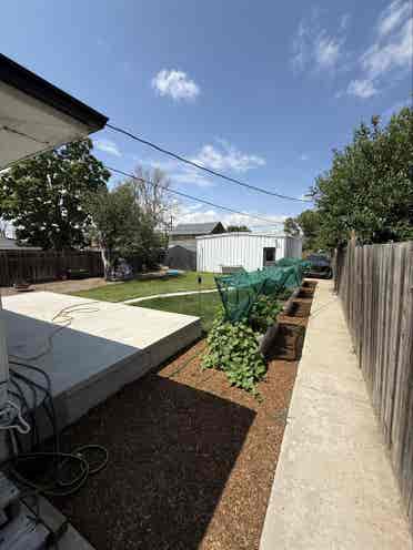 Need Roomates House Close to UNC