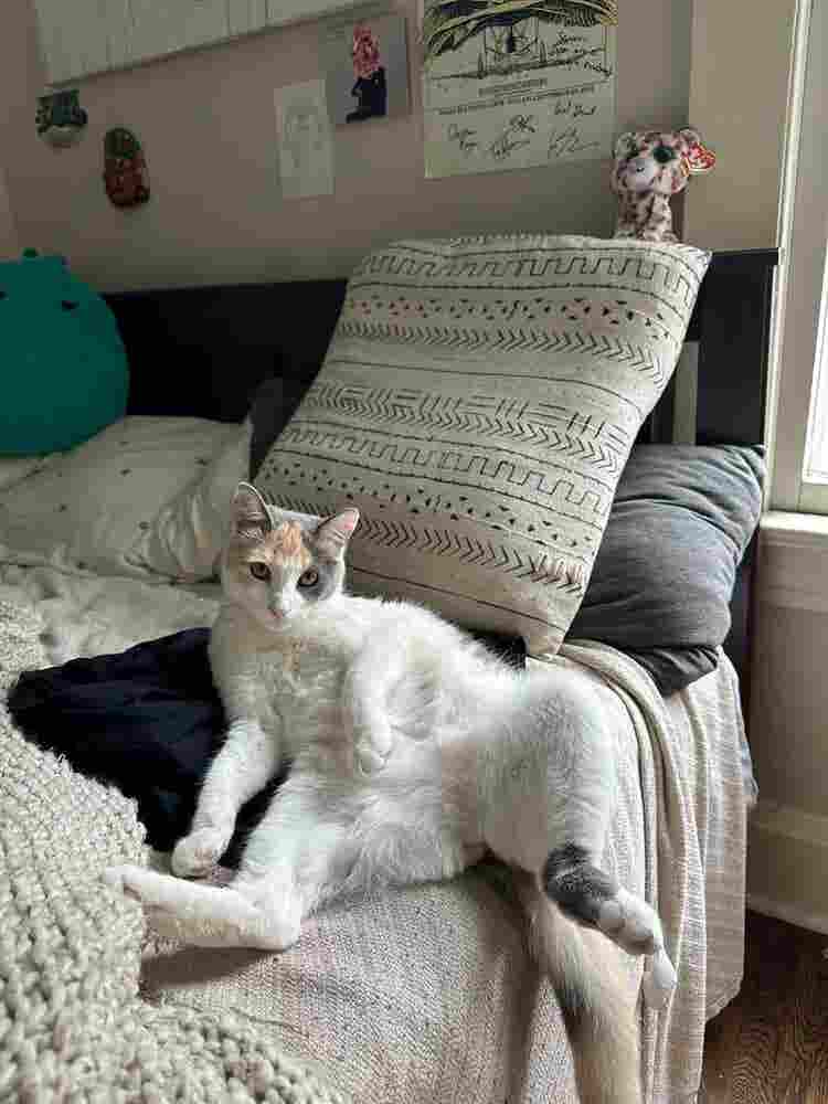 Looking for female roommate(s)!!
