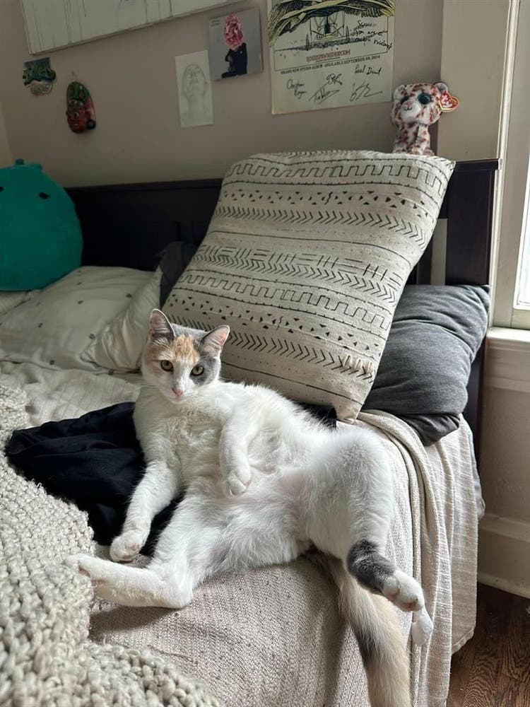 Looking for female roommate(s)!!