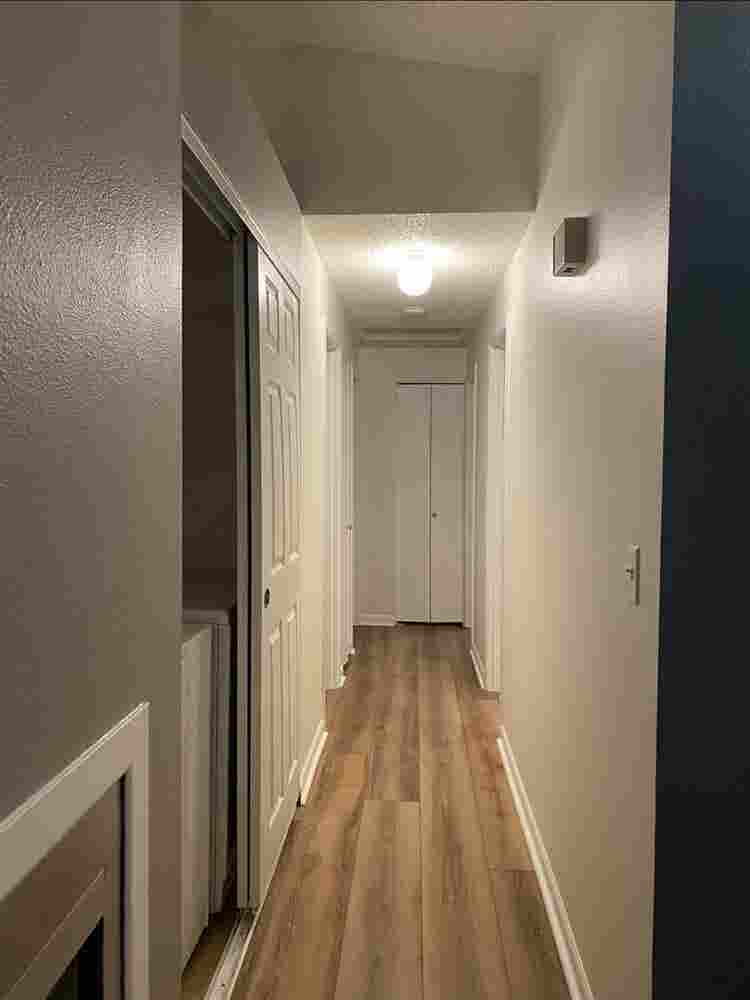 2Bd available
