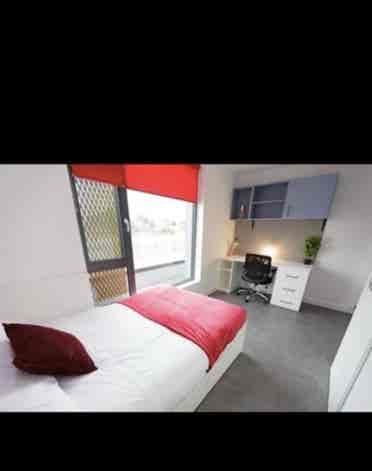AXO Student living- NEW CROSS