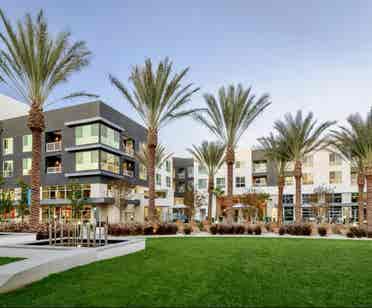 Spacious Room & Bath in Luxury Apts