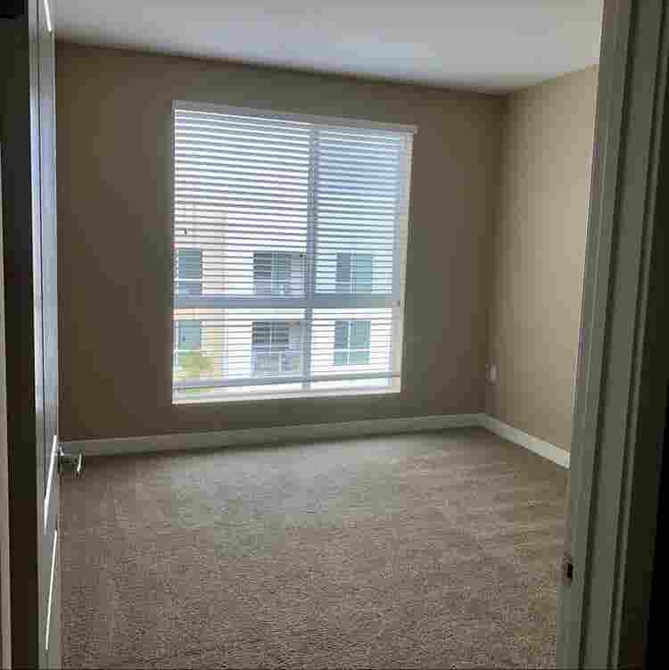 Spacious Room & Bath in Luxury Apts