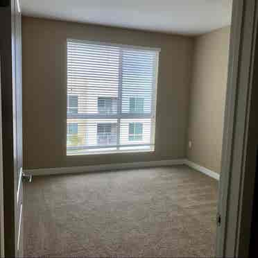 Spacious Room & Bath in Luxury Apts