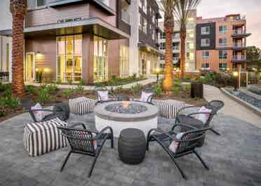 Spacious Room & Bath in Luxury Apts