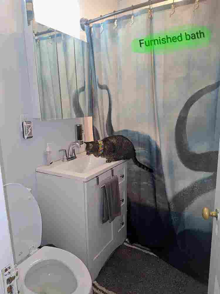 Room in downtown White Plains