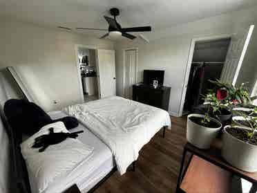 Westville 
Roommate Wanted 🏡🐾