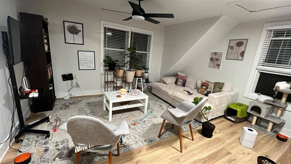 Westville 
Roommate Wanted 🏡🐾