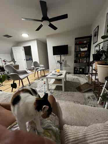 Westville 
Roommate Wanted 🏡🐾