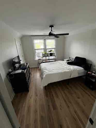 Westville 
Roommate Wanted 🏡🐾
