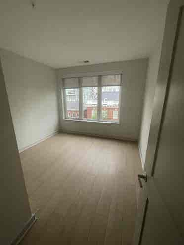 Looking for housemate! SW DC
