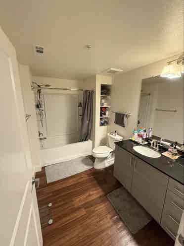 Room for rent - North San Jose