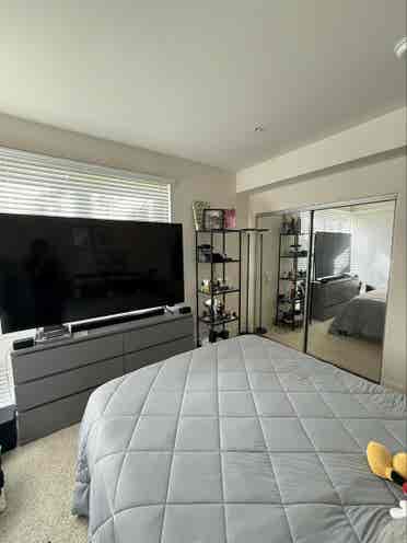 Room for rent - North San Jose