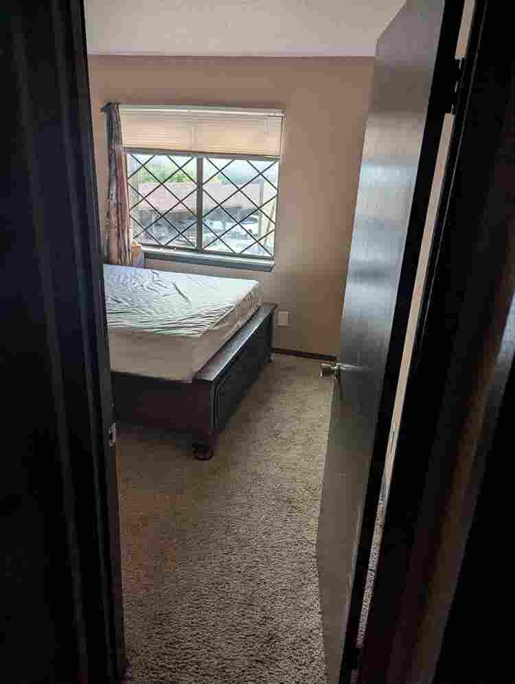 Need a roommate asap