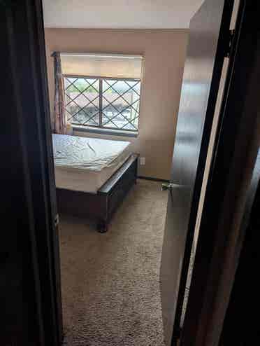 Need a roommate asap