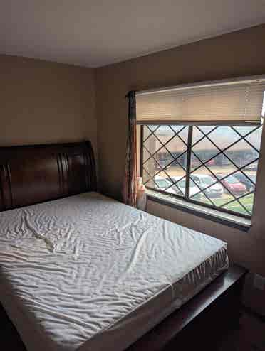 Need a roommate asap