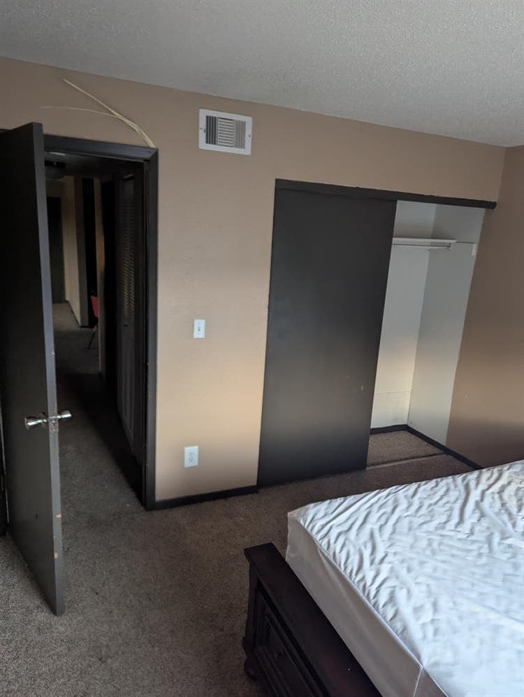 Need a roommate
