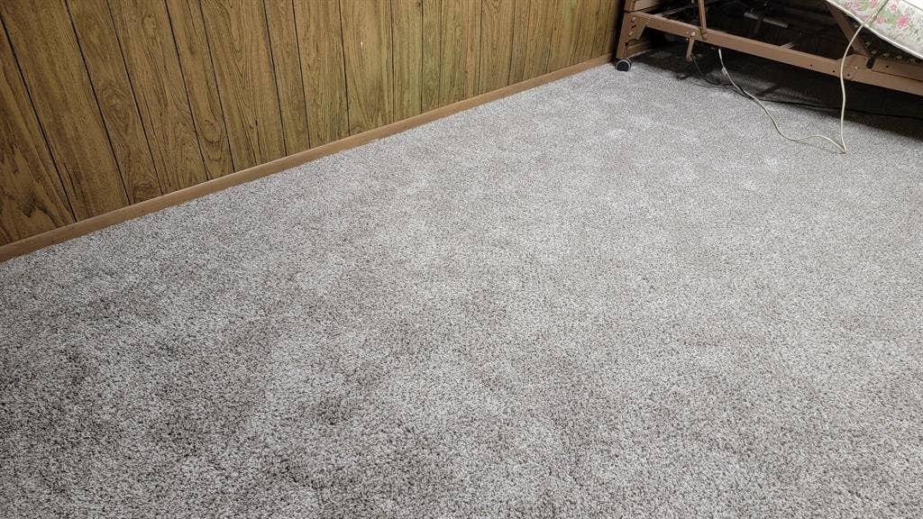 Room in shared home