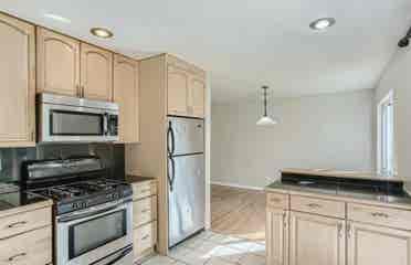 1 Room in Lakewood Open Right Now