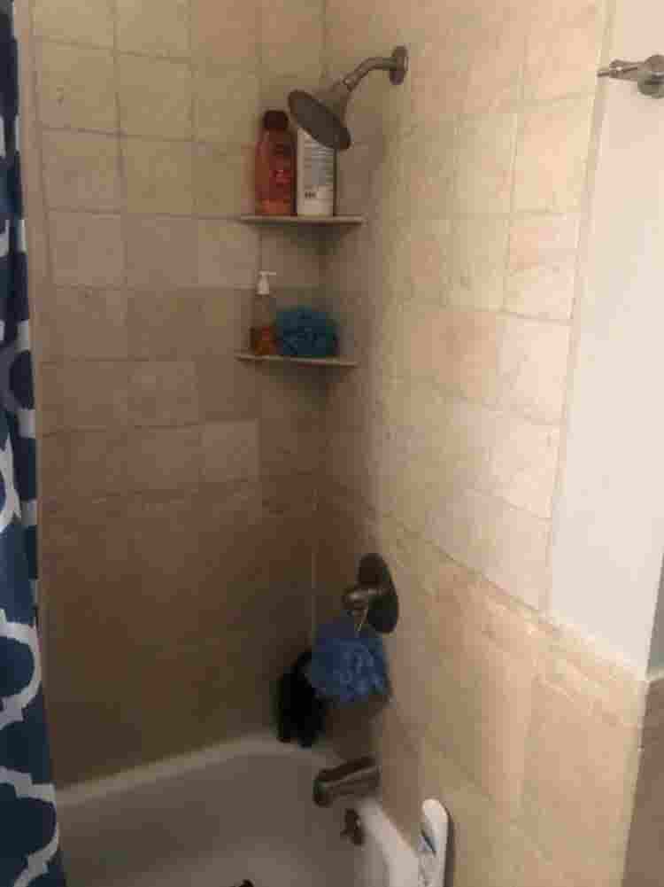 Room in Lakewood - Fenced in Yard