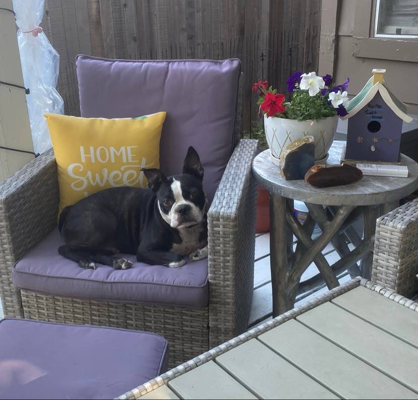 Occupied until March