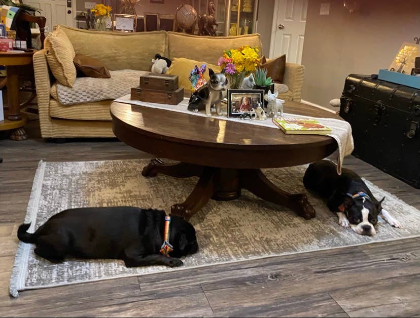 Occupied until March