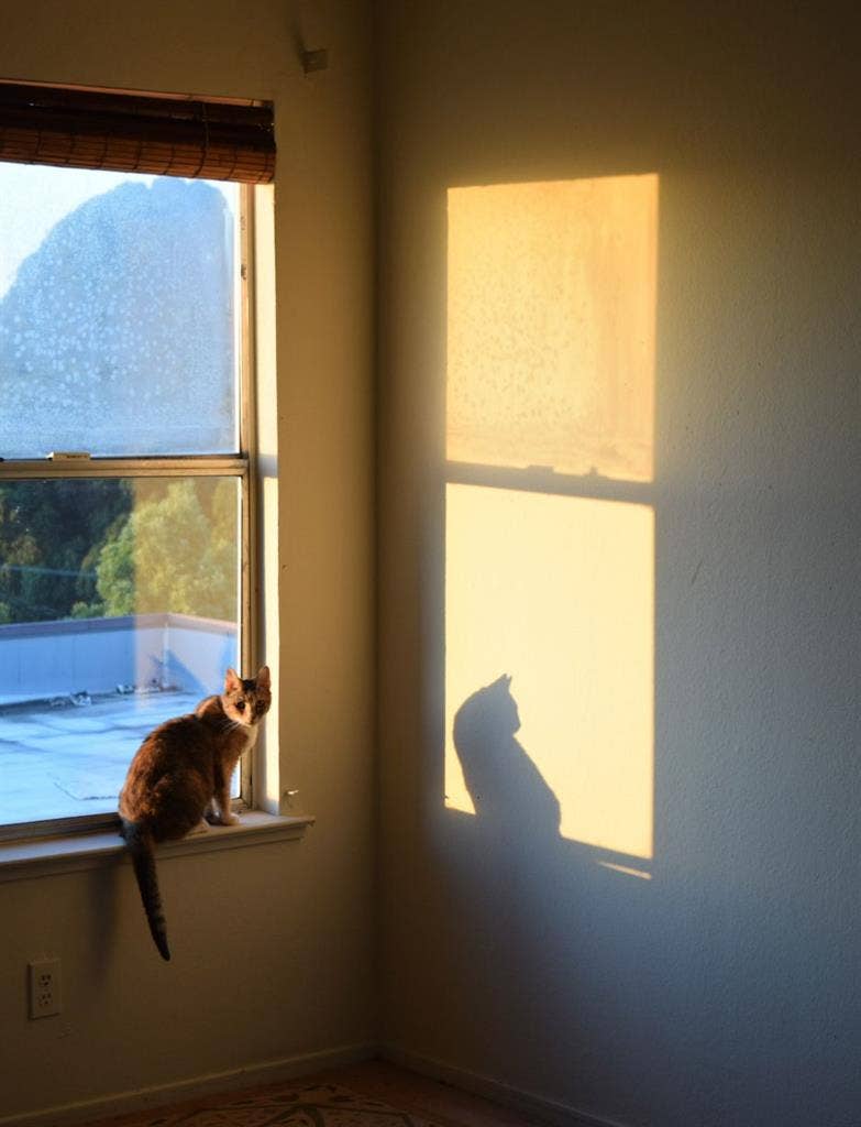 Room with a View