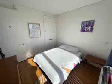 1 room in amazing  bath