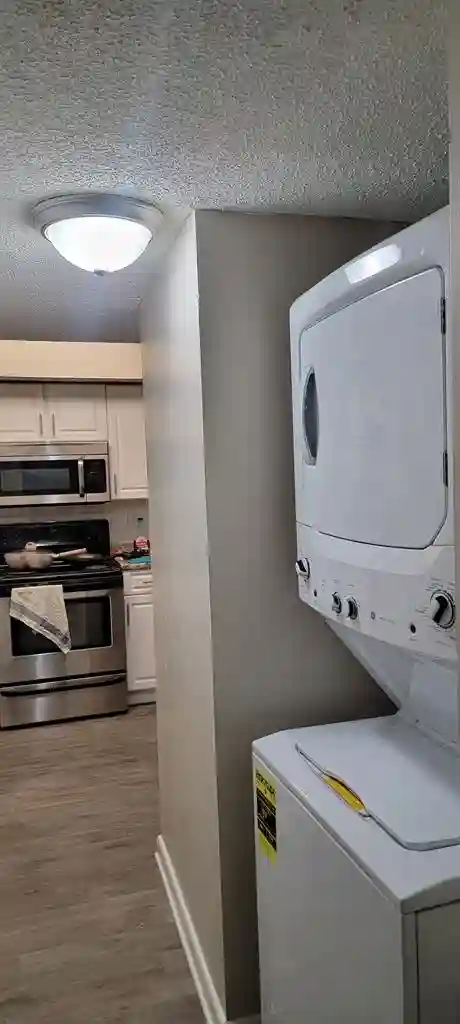 Looking for a roommate