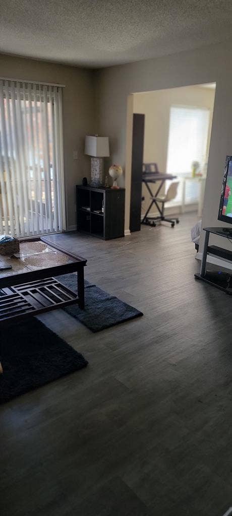 Looking for a roommate