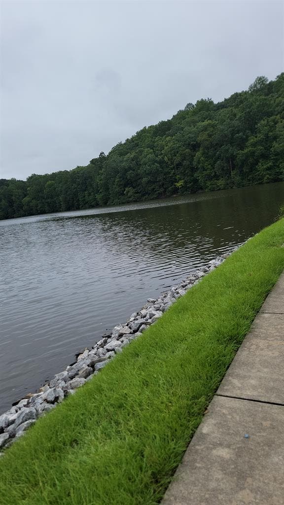 Looking for a roommate