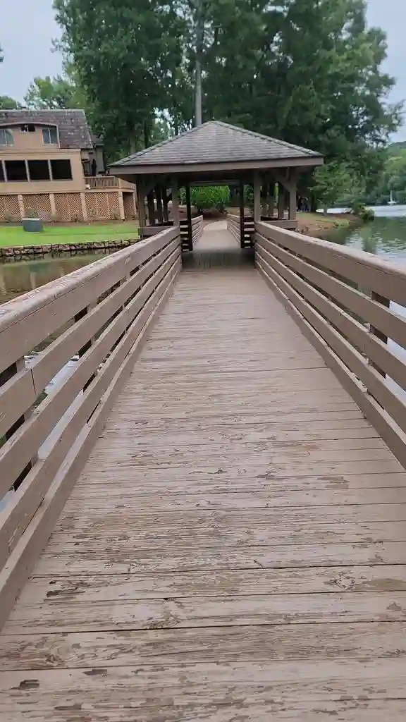 Looking for a roommate