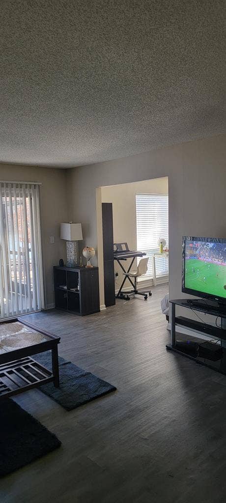 Looking for a roommate