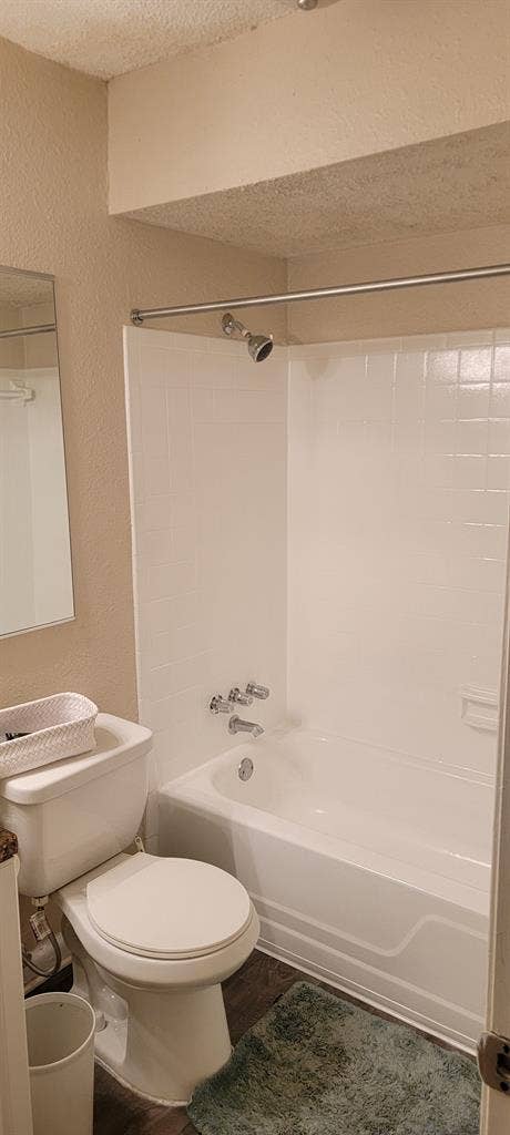 Looking for a roommate