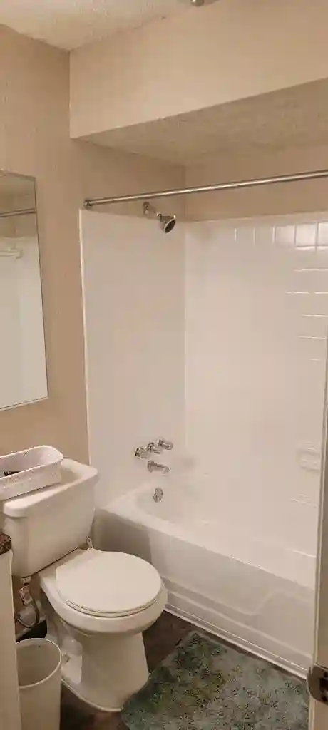 Looking for a roommate