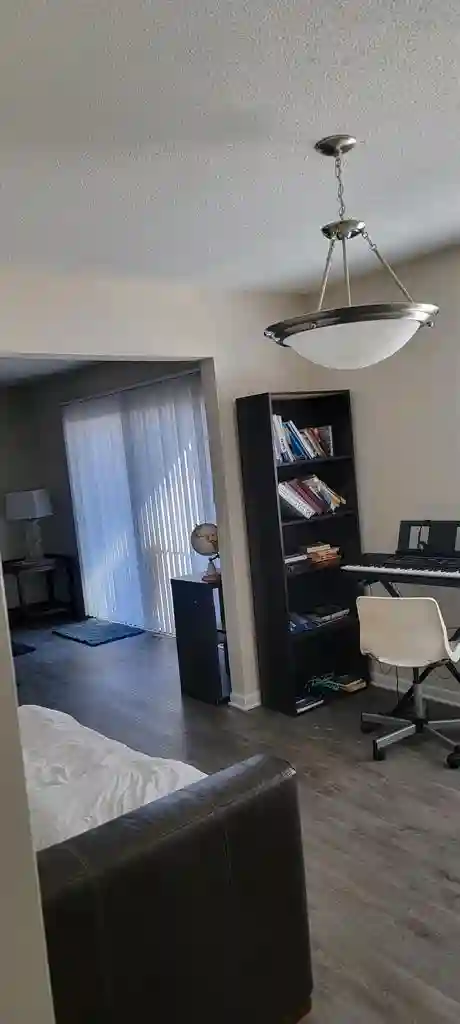 Looking for a roommate