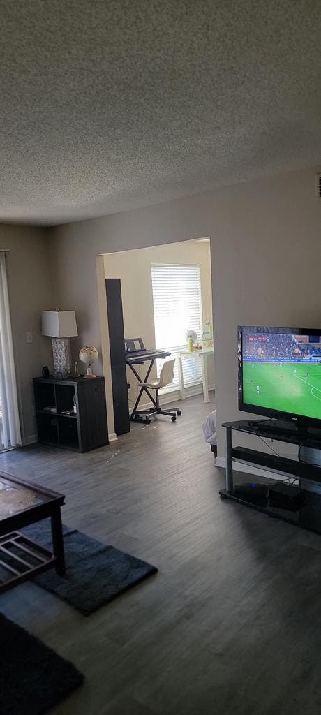 Looking for a roommate