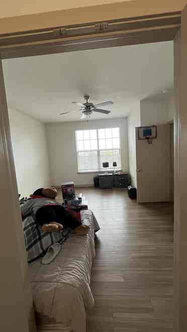Main room