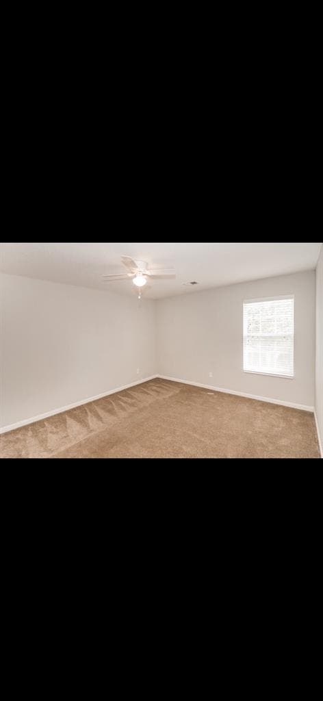 Room available for rent!