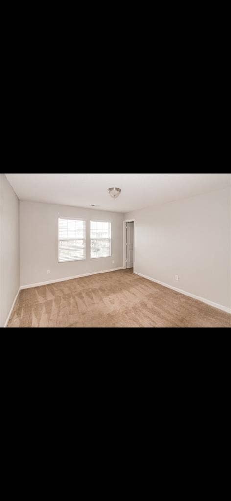Room available for rent!