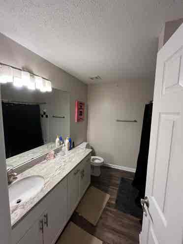 Room Available! ba Apartment