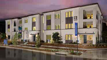 3 bedroom condo, 1 room for rent