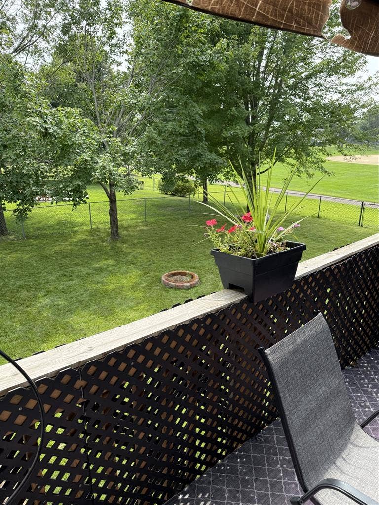 The best place with too many aminty